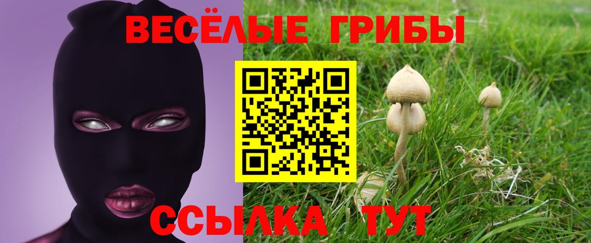 Пугачёв  Псилоцибиновые грибы мицелий  Псилоцибиновые грибы GOLDEN TEACHER  Вход с VPN 